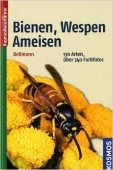thumbnail - Bienen, Wespen, Ameisen
